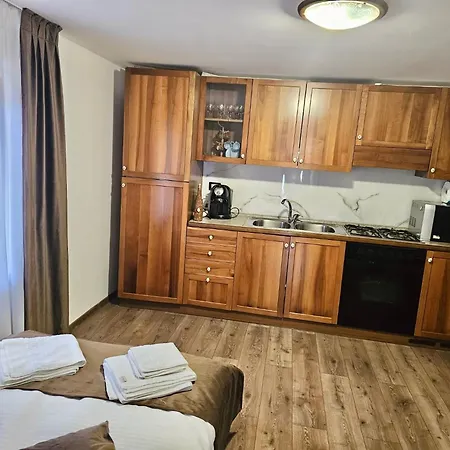 Casuta Adelina Borsa Villa Exterior photo