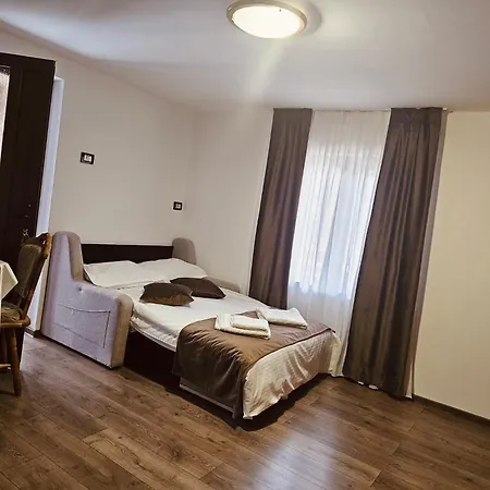 Casuta Adelina Borsa Villa Exterior photo