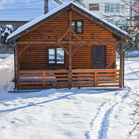 Casuta Adelina Borsa Villa Exterior photo