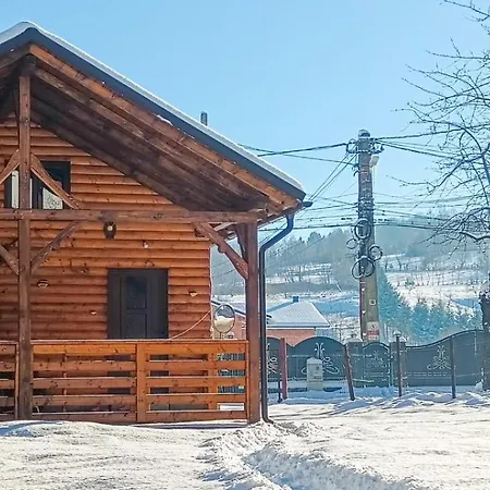 Casuta Adelina Borsa Villa Exterior photo